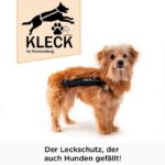 Kleck-Leckschutz